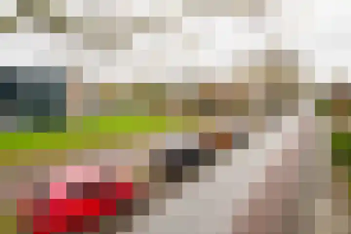 Dennenbosweg 199 Hengelo thumbnail 42