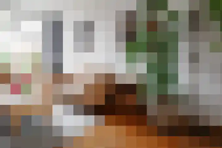 Dennenbosweg 199 Hengelo thumbnail 8