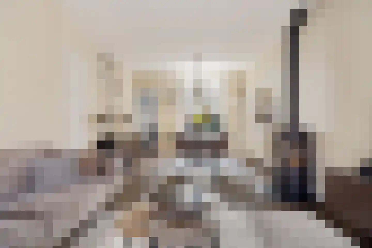 Dennenbosweg 54 Hengelo thumbnail 15