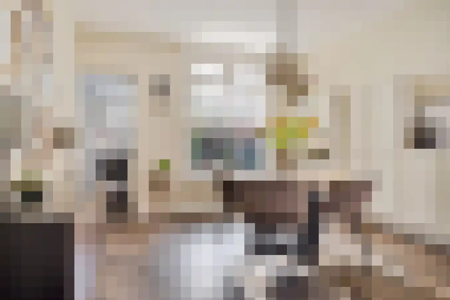Dennenbosweg 54 Hengelo thumbnail 16