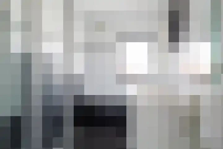 Dennenbosweg 77 Hengelo thumbnail 12
