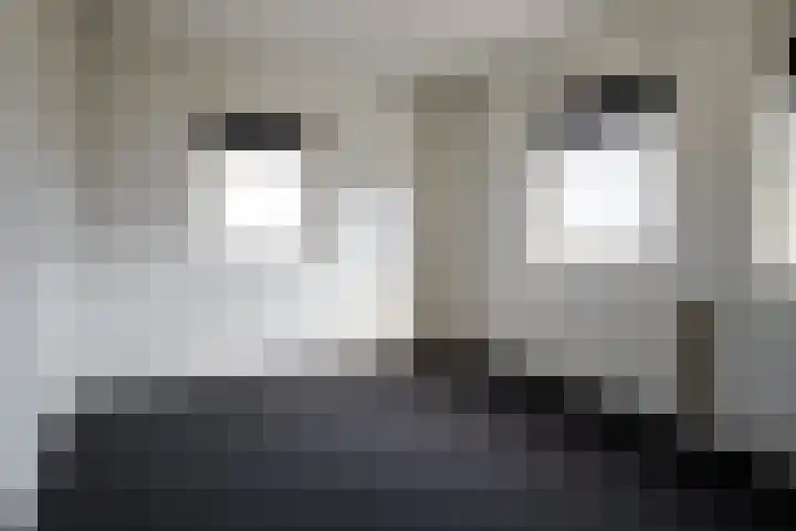 Dennenbosweg 77 Hengelo thumbnail 17