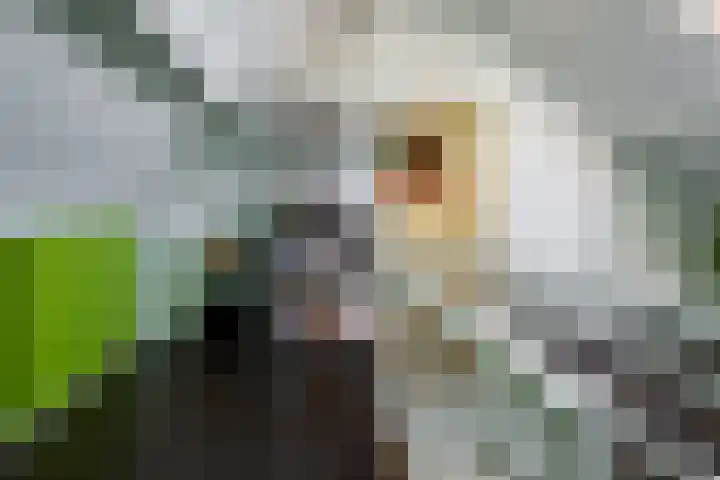 Dennenbosweg 77 Hengelo thumbnail 19