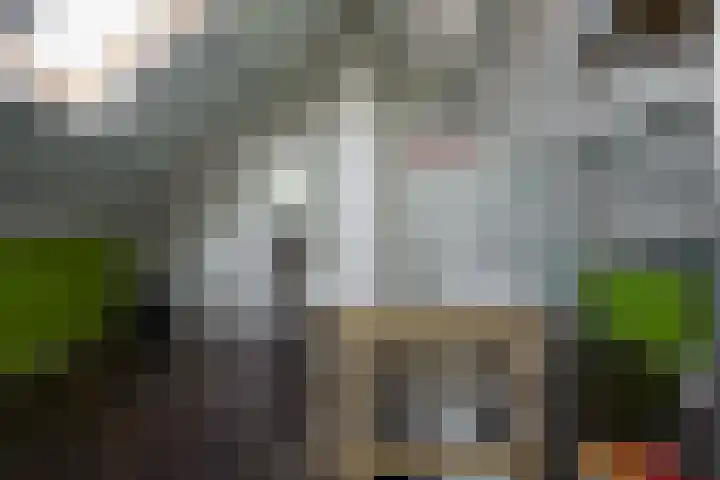 Dennenbosweg 77 Hengelo thumbnail 21