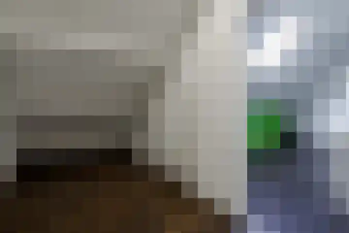 Dennenbosweg 77 Hengelo thumbnail 22