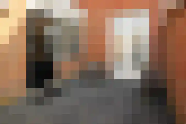 Dennenbosweg 77 Hengelo thumbnail 24