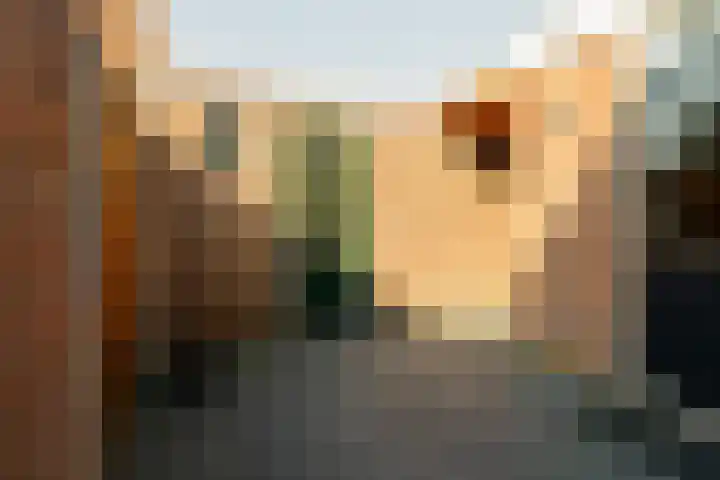 Dennenbosweg 77 Hengelo thumbnail 25