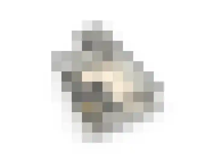 Dennenbosweg 77 Hengelo thumbnail 31