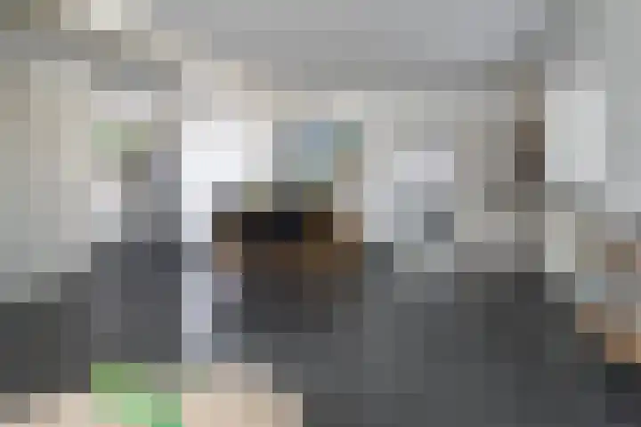 Dennenbosweg 77 Hengelo thumbnail 7