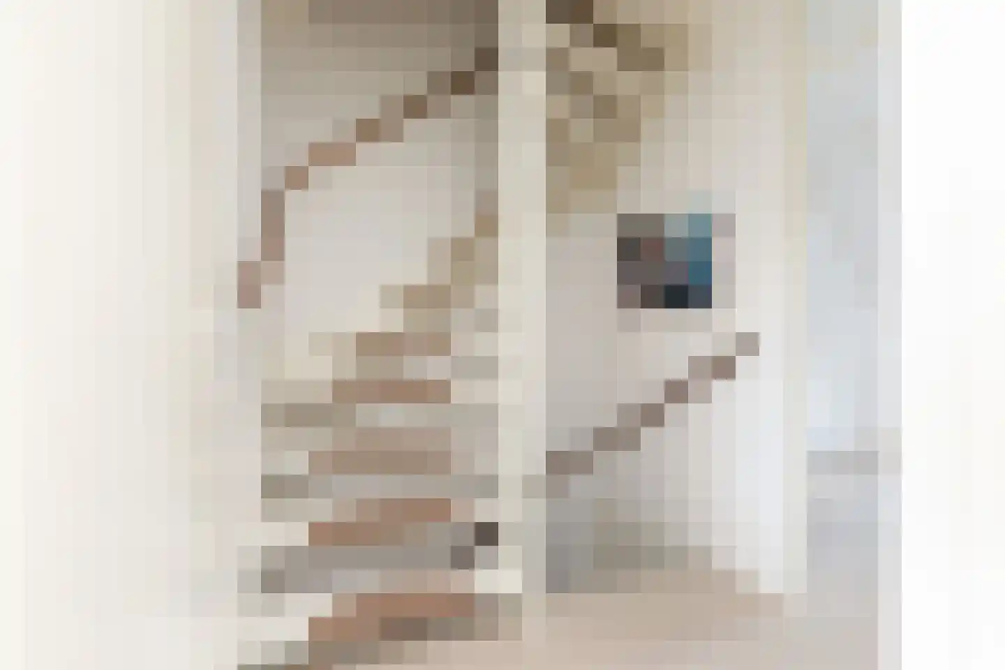 Dennenburg 15 Bolsward thumbnail 24