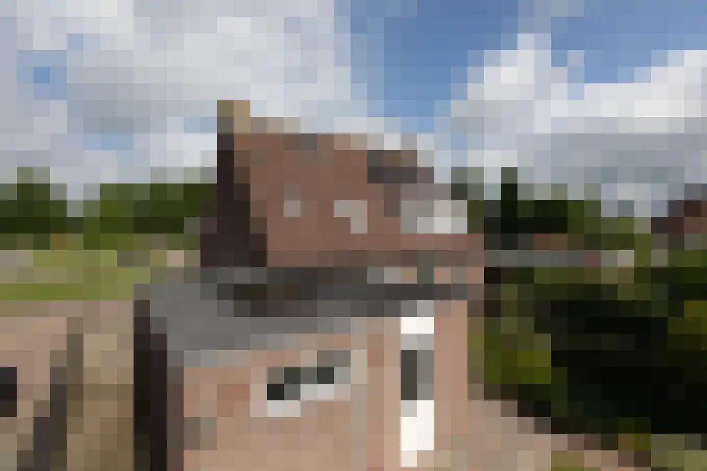 Dennenburg 15 Bolsward thumbnail 35