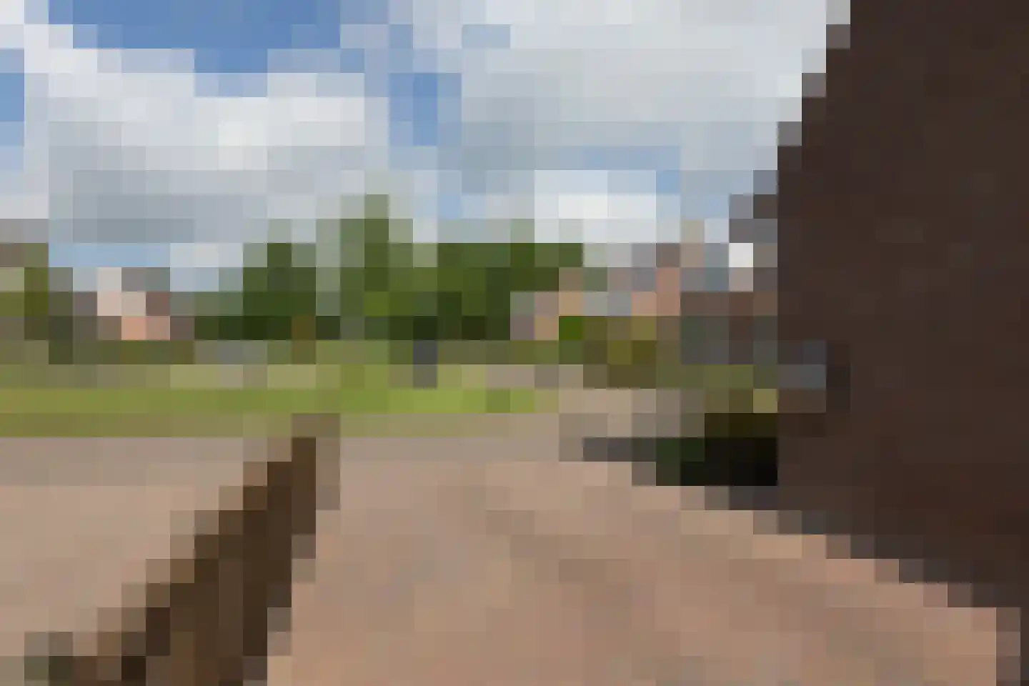 Dennenburg 15 Bolsward thumbnail 36