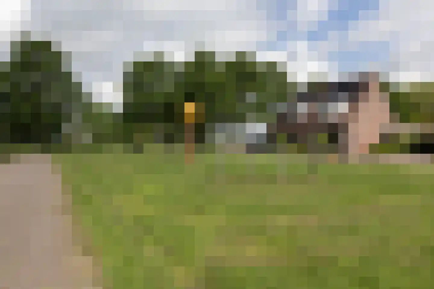Dennenburg 15 Bolsward thumbnail 4