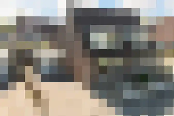 Dennenburg 17 Bolsward thumbnail 49