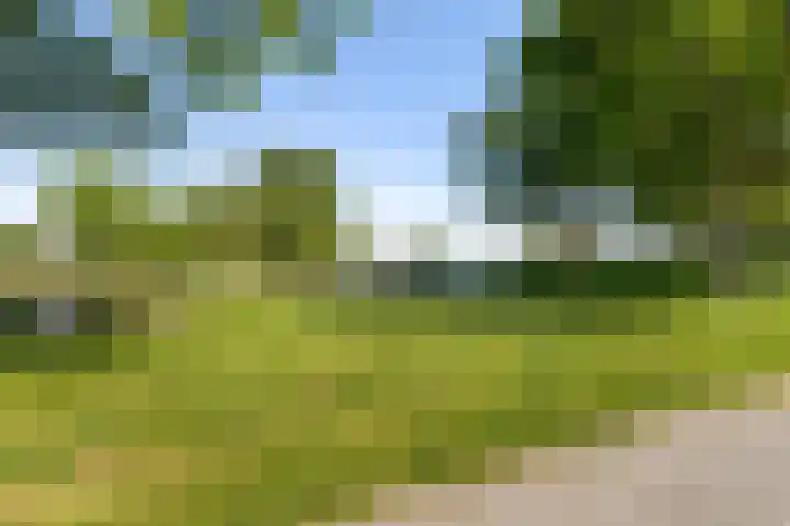 Dennenburg 17 Bolsward thumbnail 6