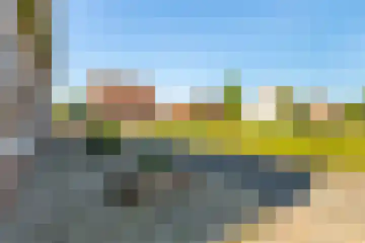 Dennenburg 17 Bolsward thumbnail 9
