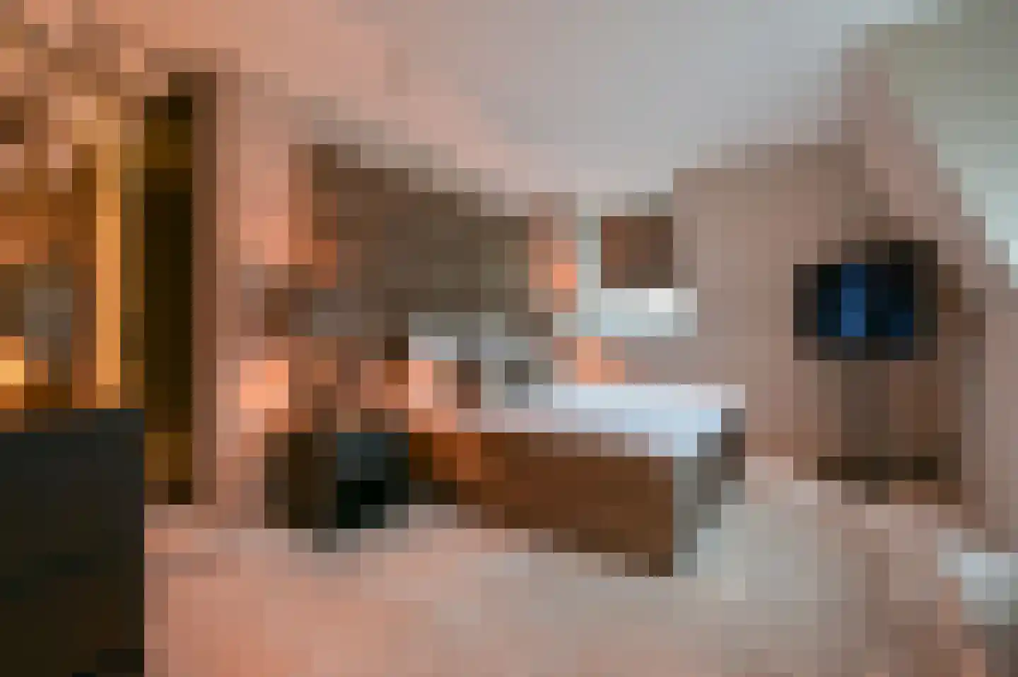 Dennenburg 18 Huis ter Heide thumbnail 14