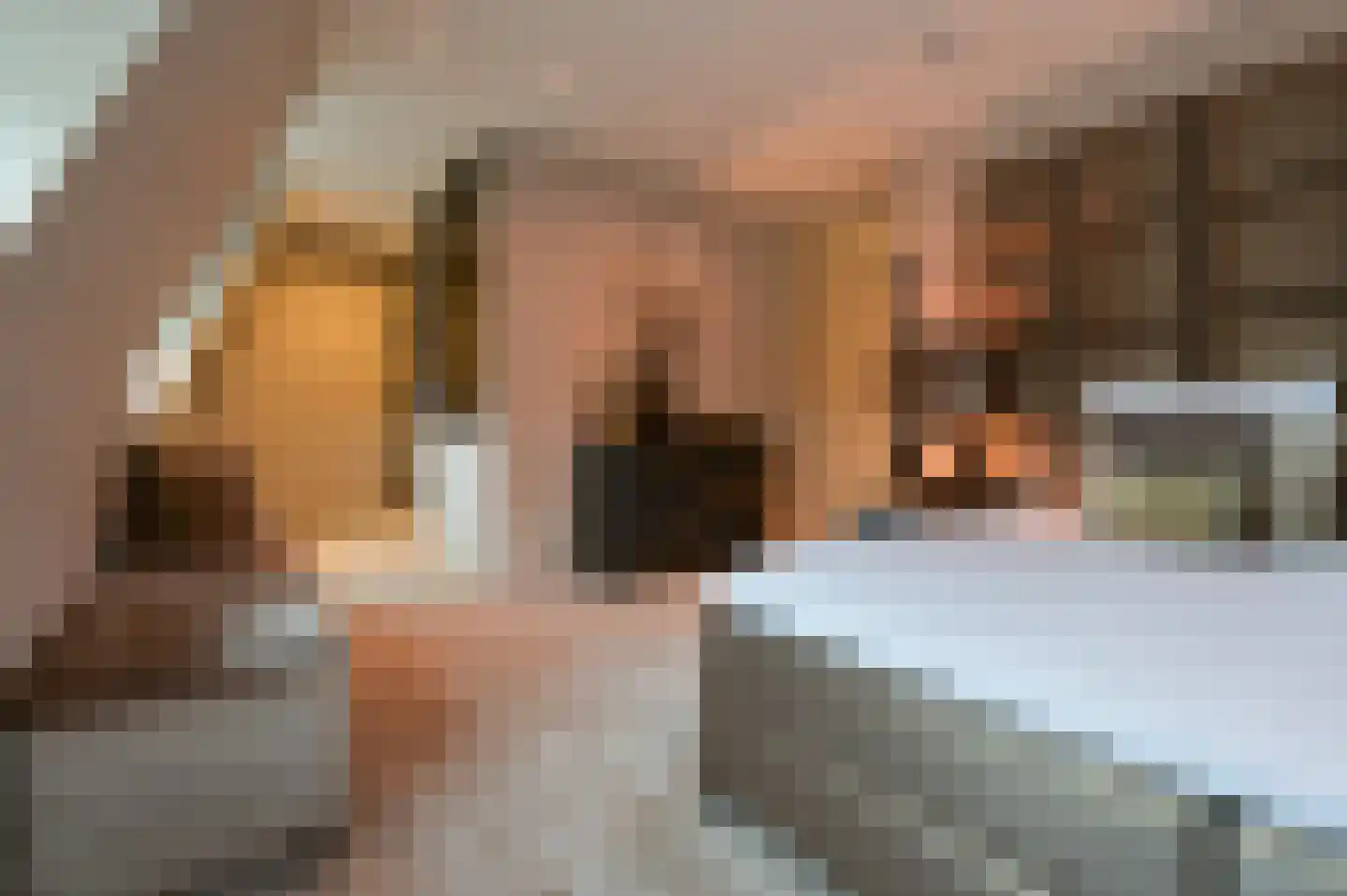 Dennenburg 18 Huis ter Heide thumbnail 15