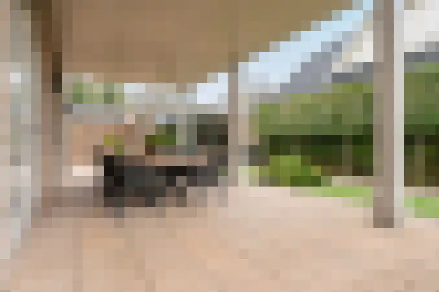 Dennenburg 18 Huis ter Heide thumbnail 31