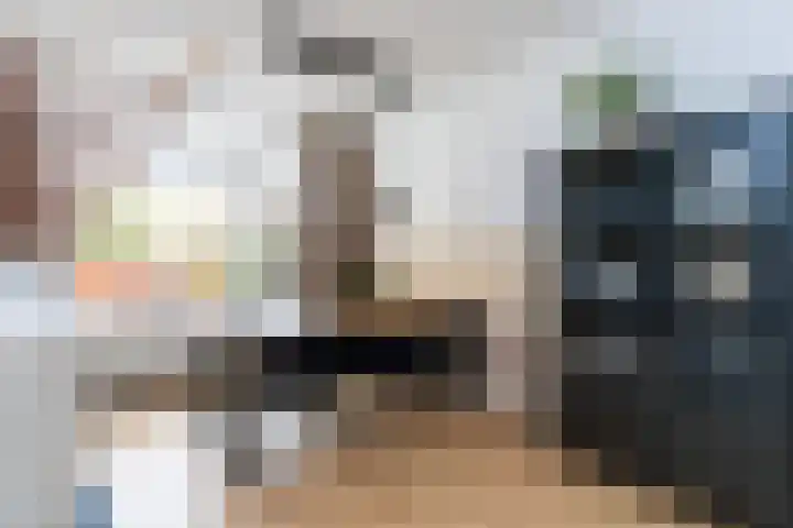 Dennendaal 30 Rotterdam thumbnail 12