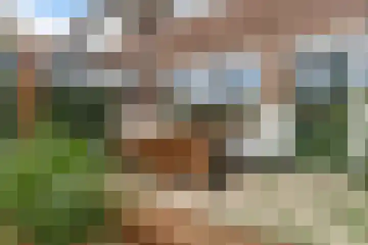 Dennendaal 30 Rotterdam thumbnail 24