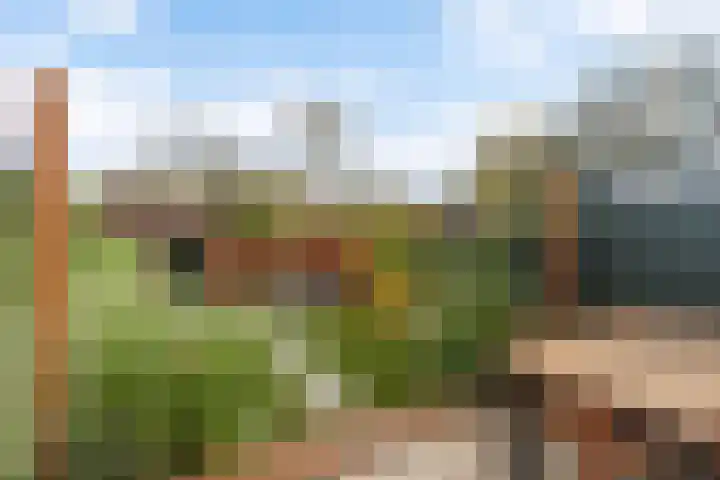 Dennendaal 30 Rotterdam thumbnail 25