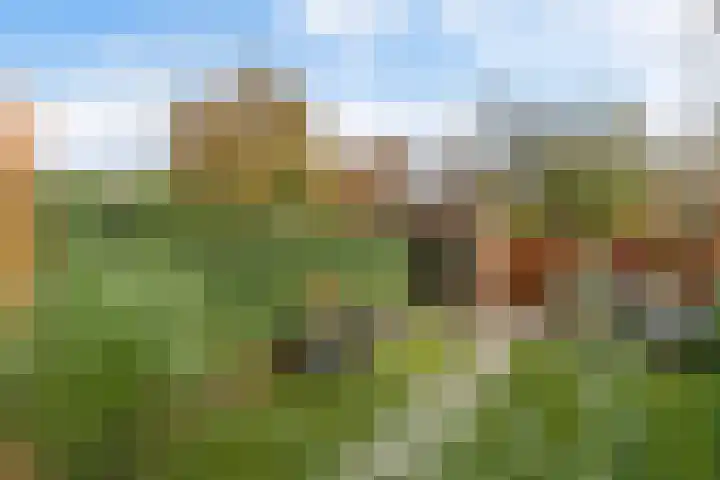 Dennendaal 30 Rotterdam thumbnail 27