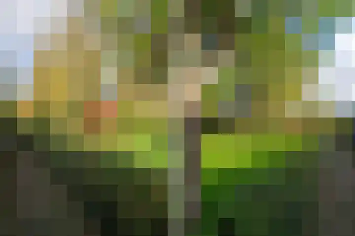 Dennendaal 30 Rotterdam thumbnail 32