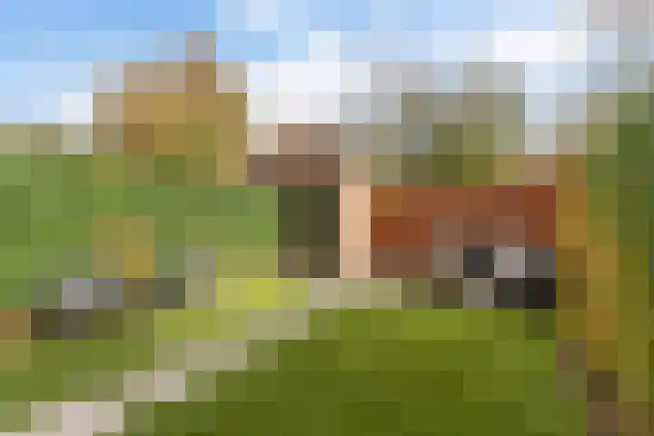 Dennendaal 30 Rotterdam thumbnail 4