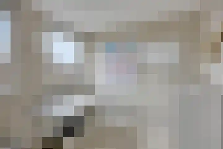 Dennendal 142 Maassluis thumbnail 32