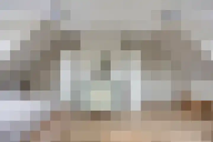Dennendal 142 Maassluis thumbnail 36