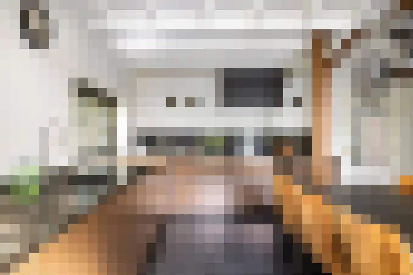 Dennendijk 6 Geesteren thumbnail 10