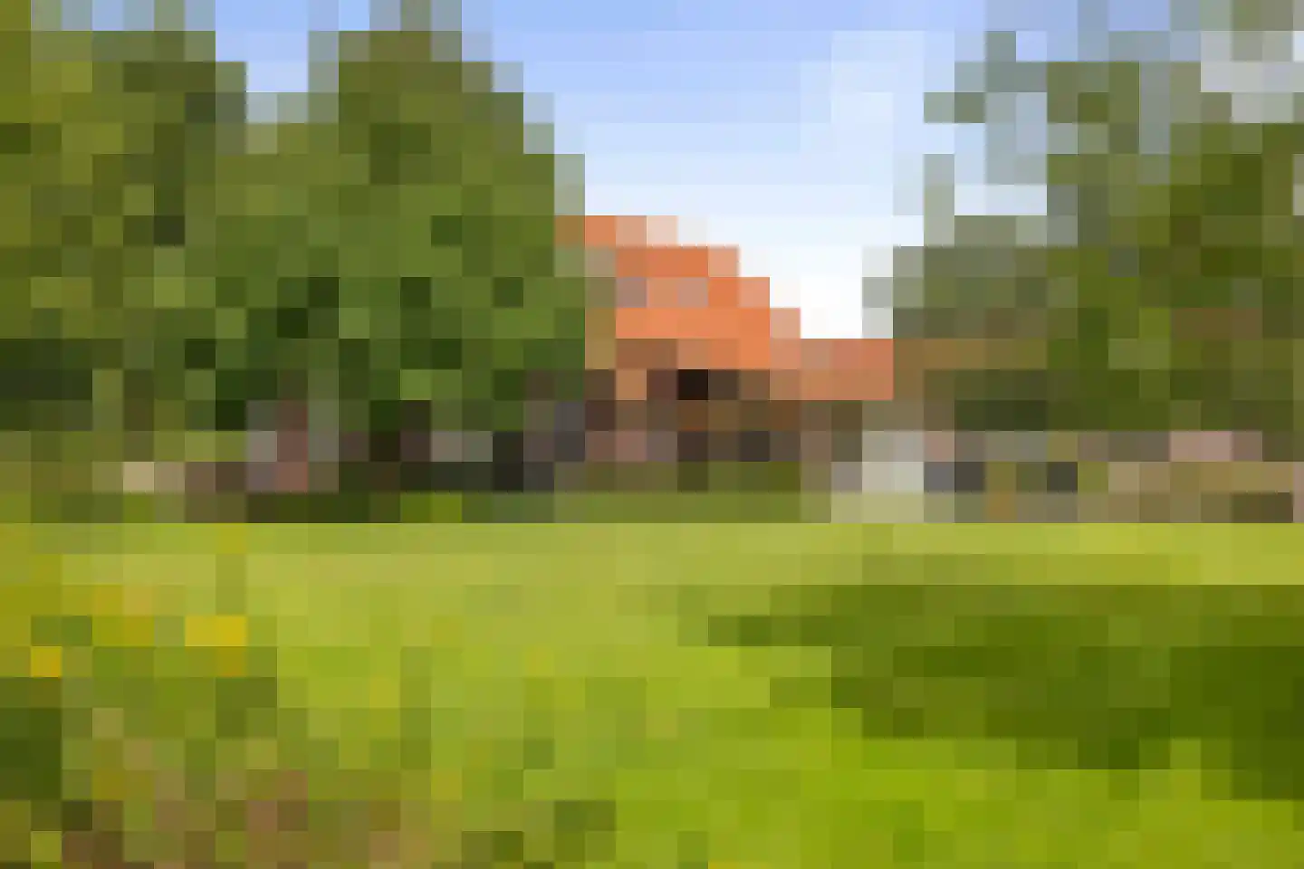 Dennendijk 6 Geesteren thumbnail 101