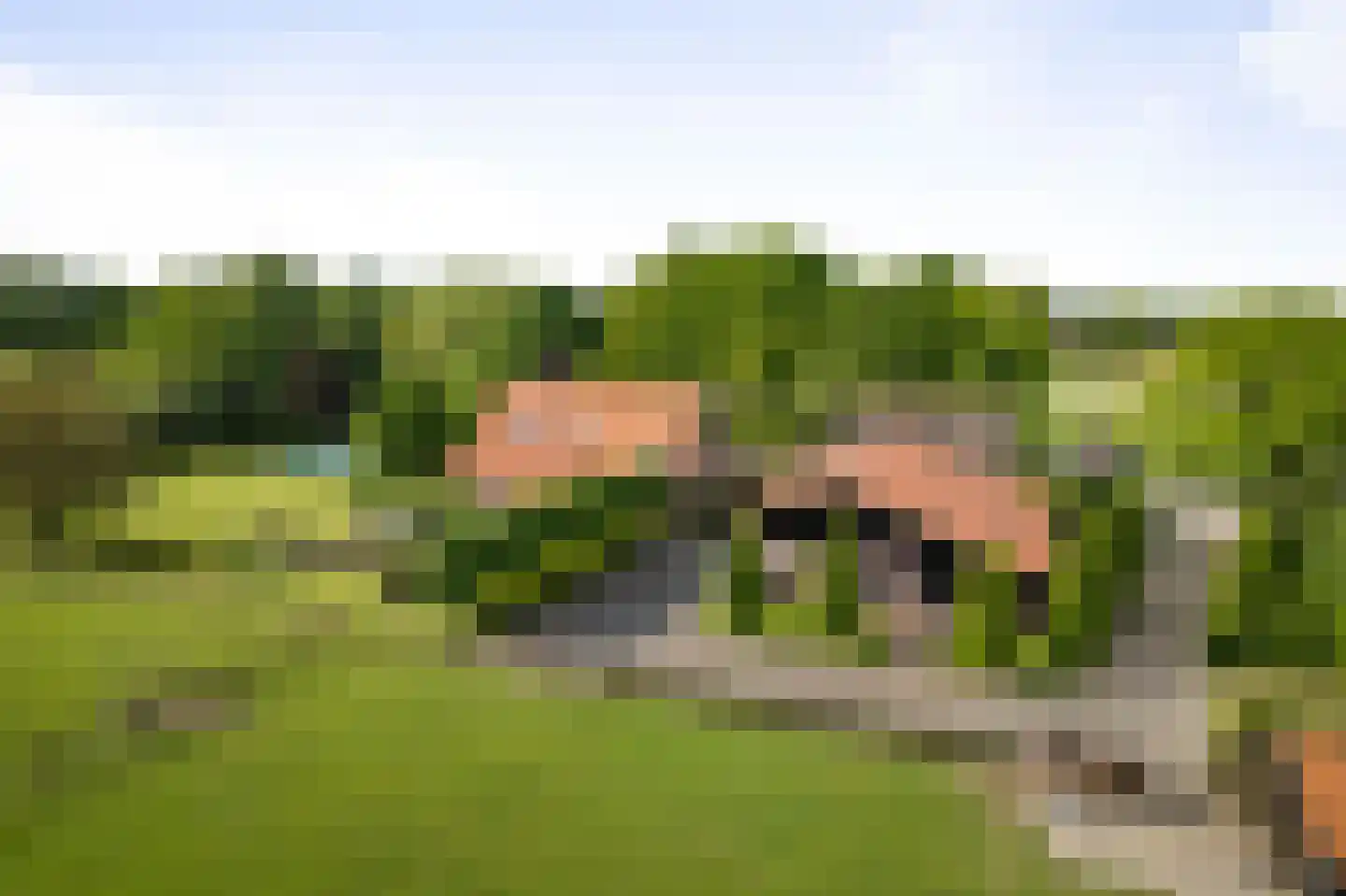 Dennendijk 6 Geesteren thumbnail 11