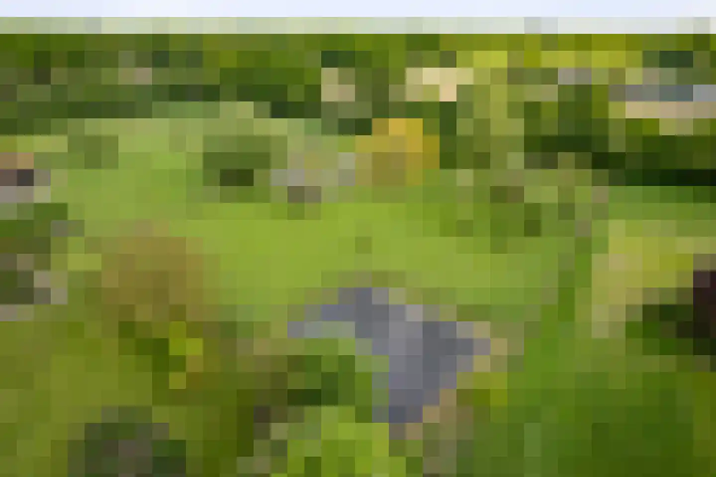 Dennendijk 6 Geesteren thumbnail 12