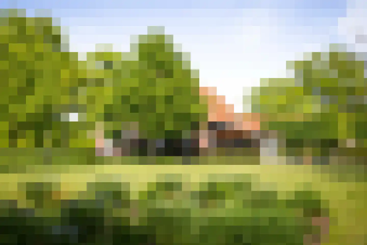 Dennendijk 6 Geesteren thumbnail 19