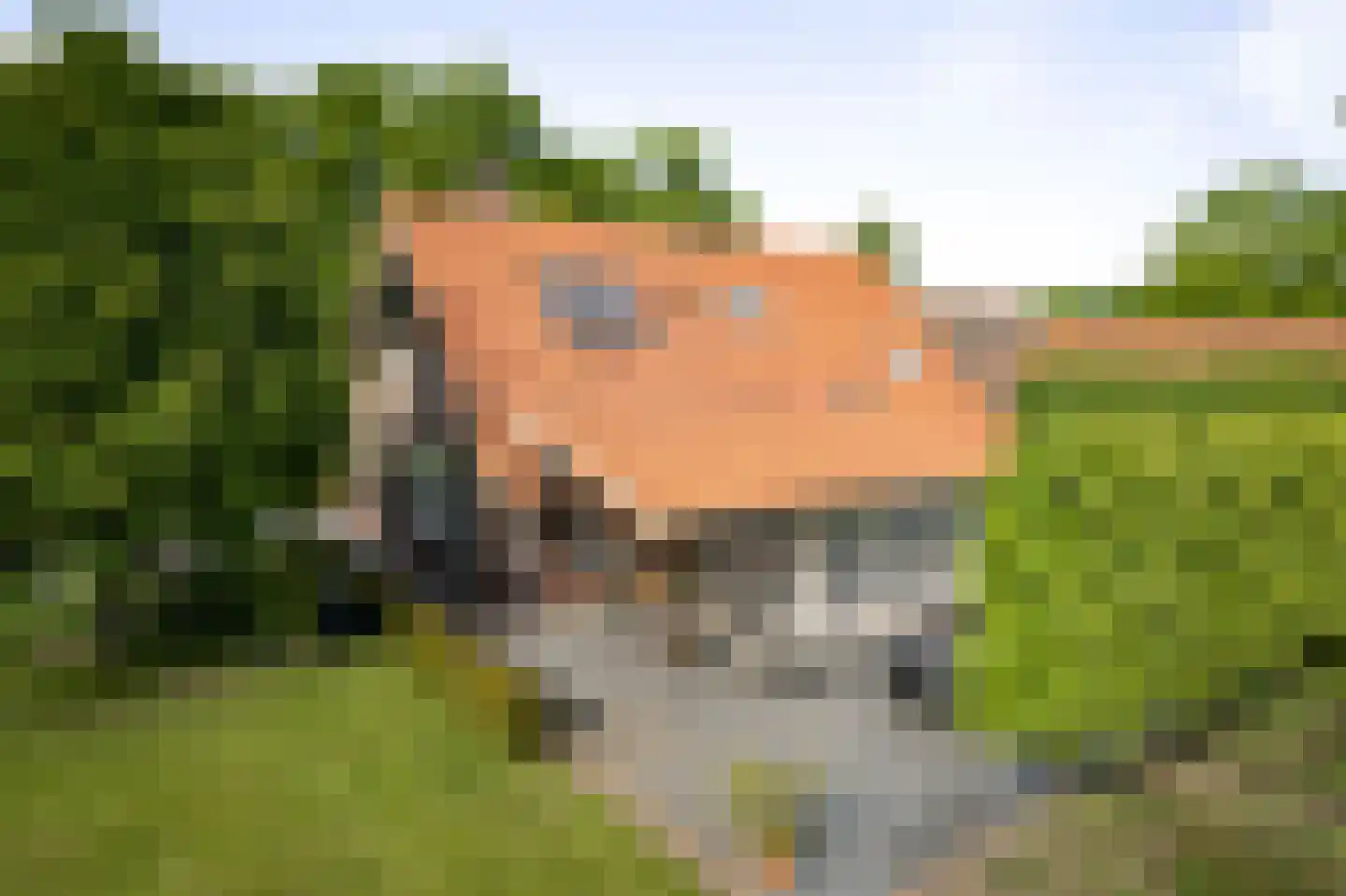 Dennendijk 6 Geesteren thumbnail 22