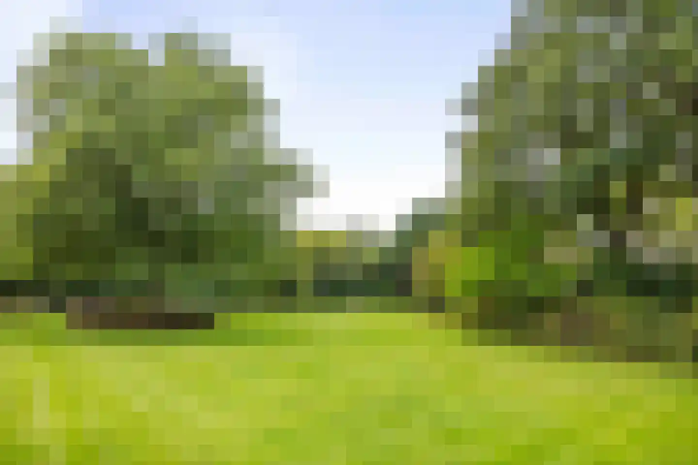 Dennendijk 6 Geesteren thumbnail 25