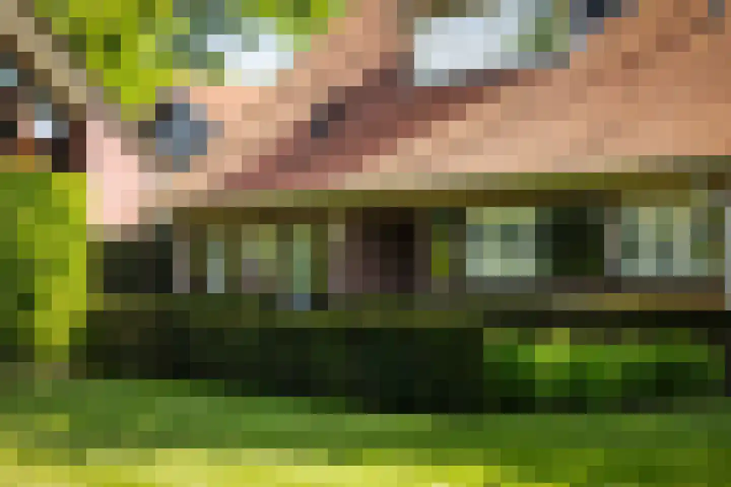 Dennendijk 6 Geesteren thumbnail 28