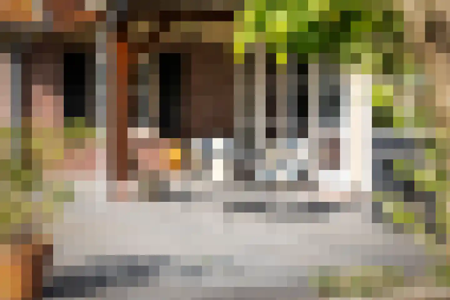 Dennendijk 6 Geesteren thumbnail 33