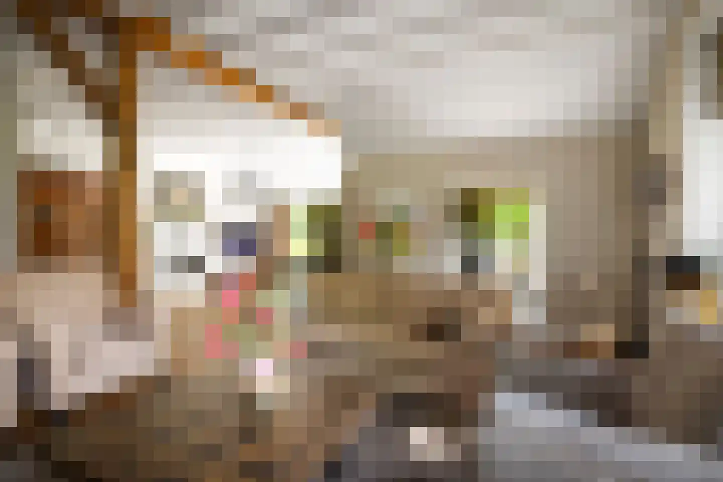 Dennendijk 6 Geesteren thumbnail 35