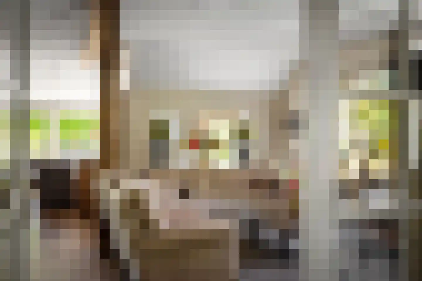 Dennendijk 6 Geesteren thumbnail 36