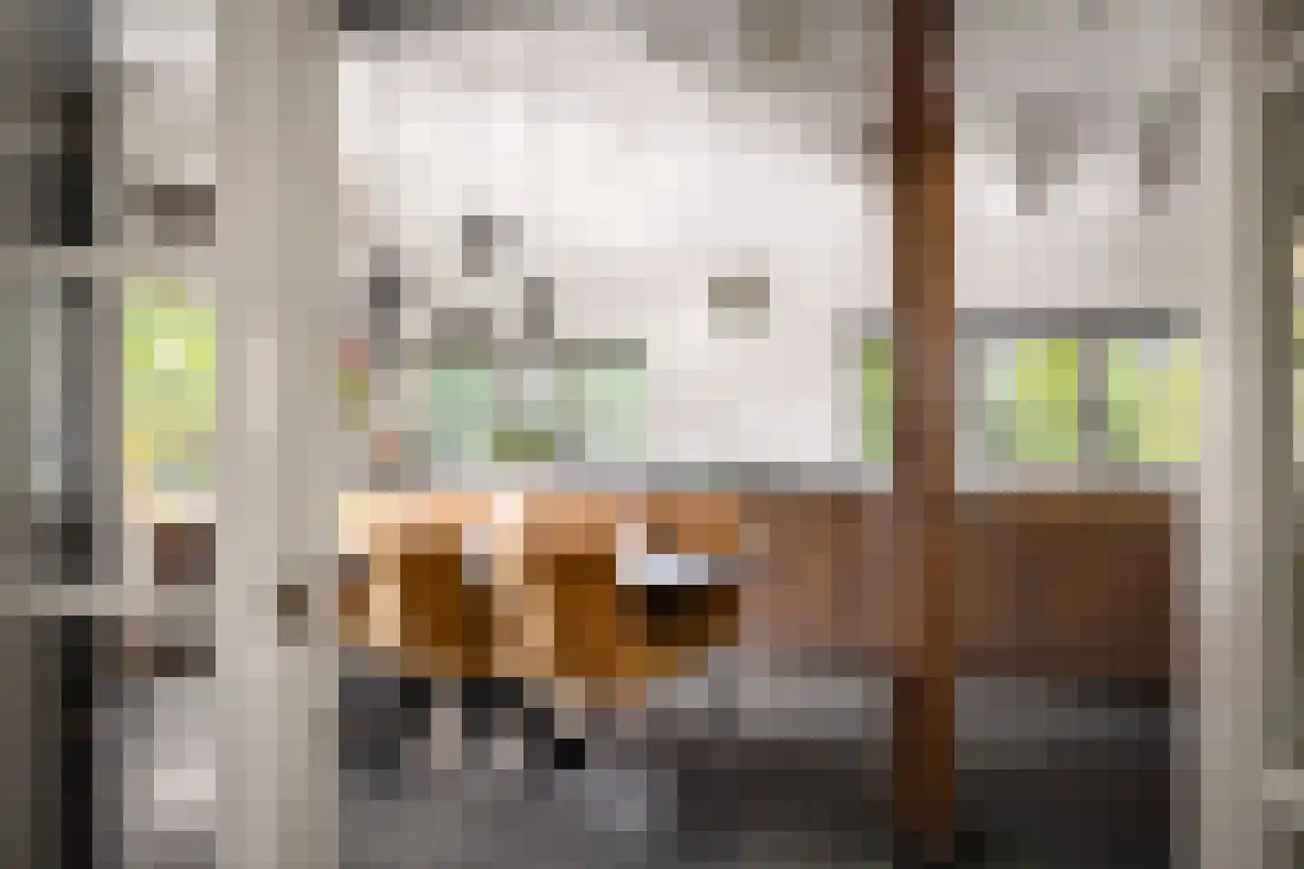 Dennendijk 6 Geesteren thumbnail 39