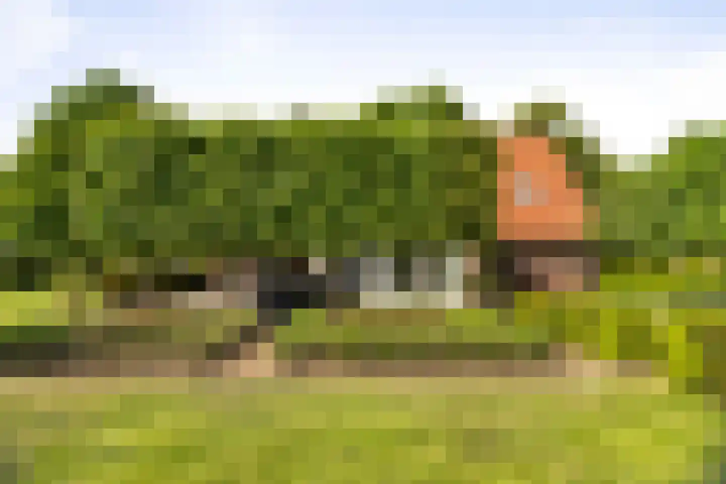 Dennendijk 6 Geesteren thumbnail 63