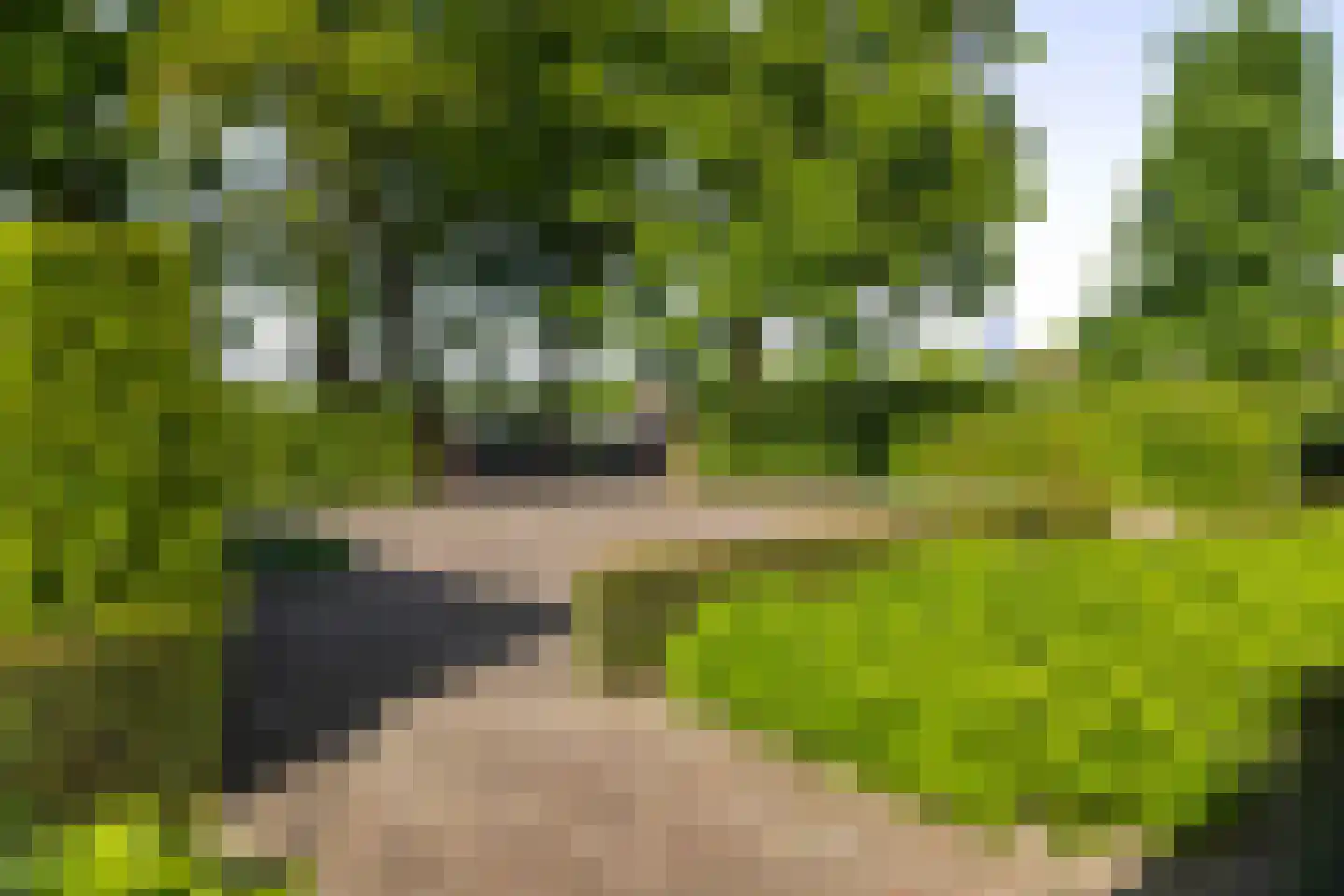 Dennendijk 6 Geesteren thumbnail 67