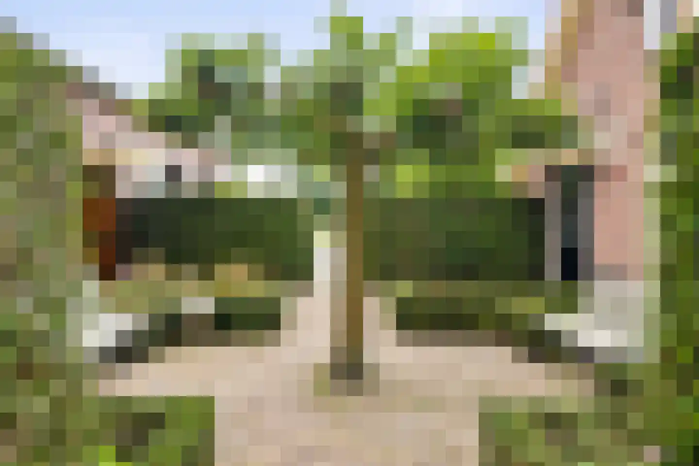 Dennendijk 6 Geesteren thumbnail 69