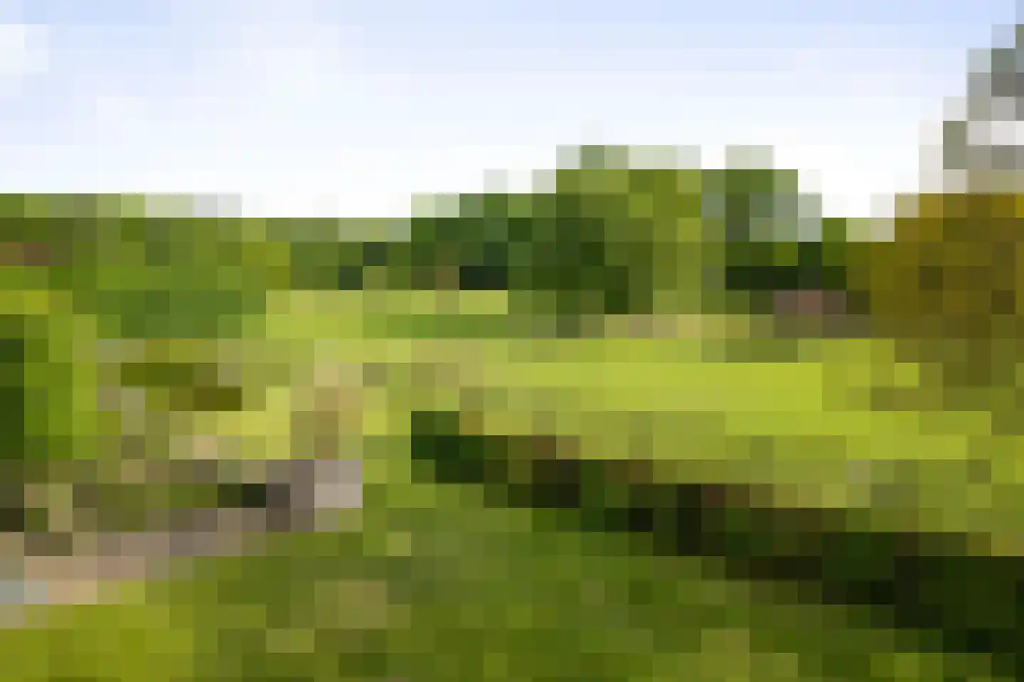Dennendijk 6 Geesteren thumbnail 7