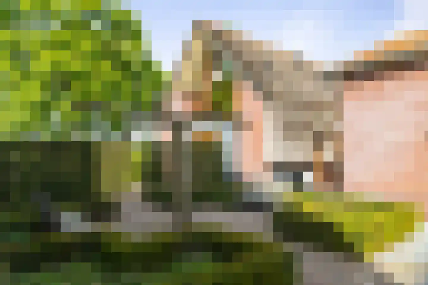 Dennendijk 6 Geesteren thumbnail 71