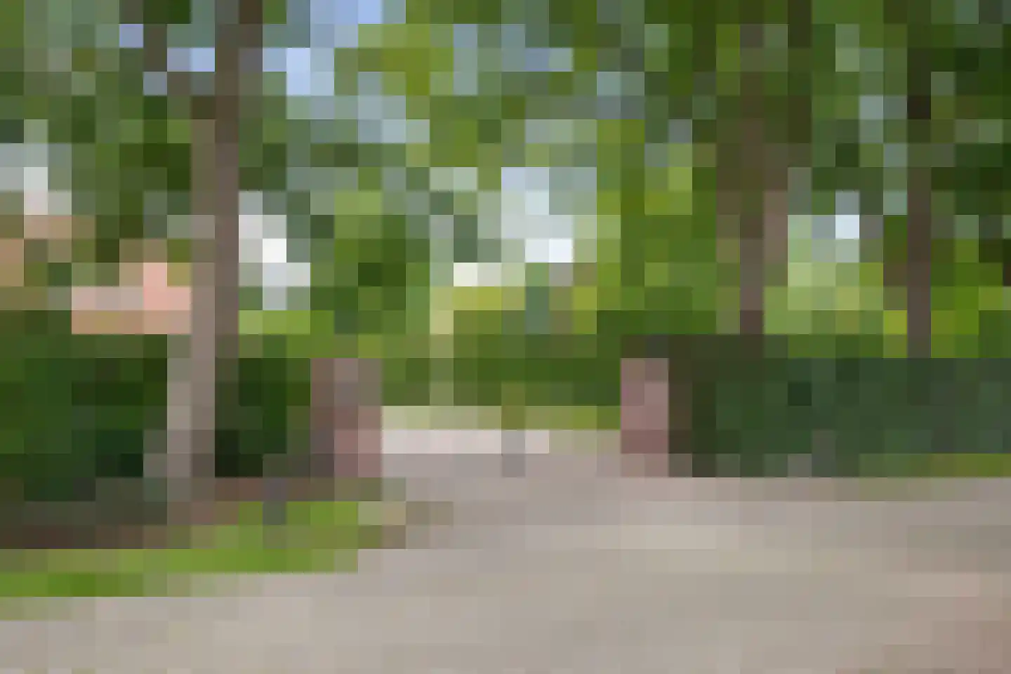Dennendijk 6 Geesteren thumbnail 83