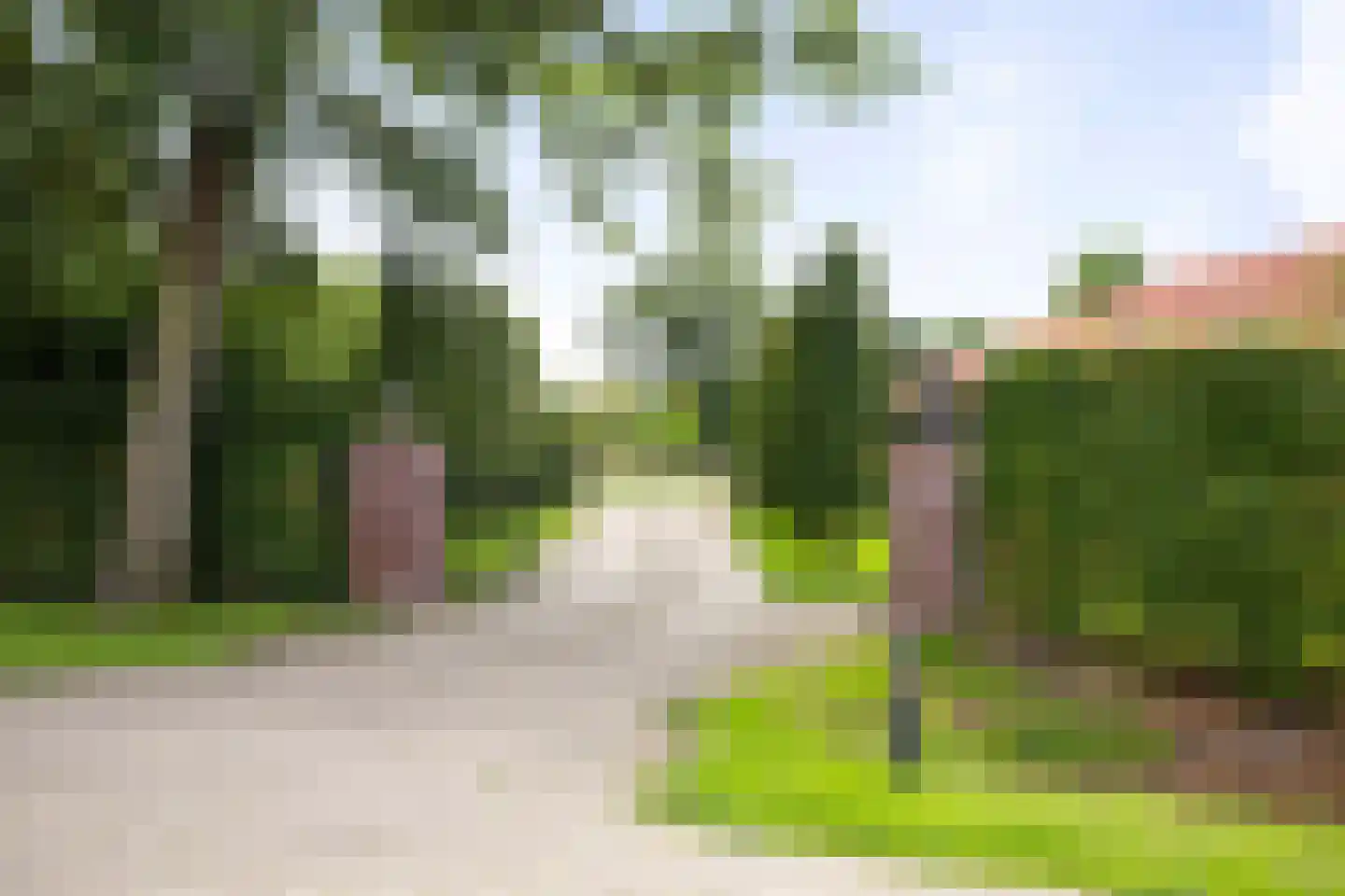 Dennendijk 6 Geesteren thumbnail 84